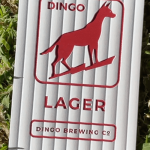 Before photo of the Dingo Brewing Co Tap Decal.